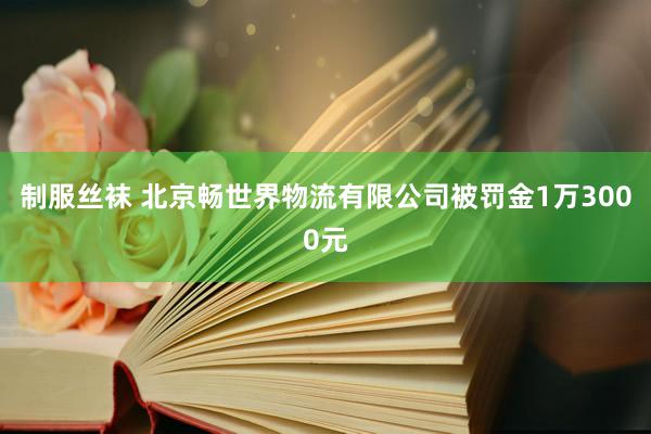 制服丝袜 北京畅世界物流有限公司被罚金1万3000元