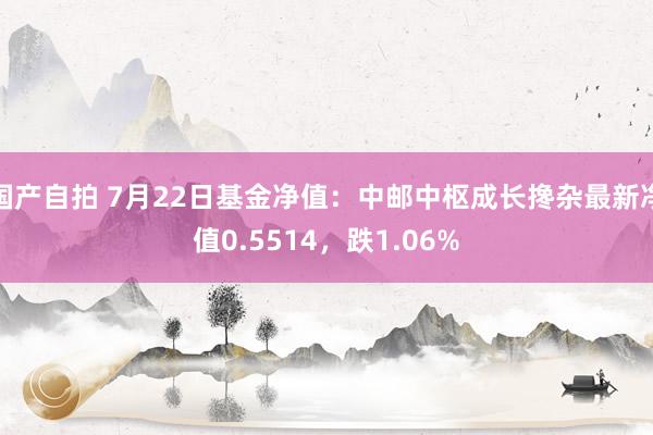 国产自拍 7月22日基金净值：中邮中枢成长搀杂最新净值0.5514，跌1.06%