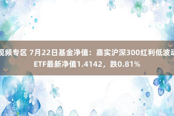 视频专区 7月22日基金净值：嘉实沪深300红利低波动ETF最新净值1.4142，跌0.81%