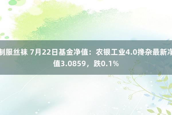 制服丝袜 7月22日基金净值：农银工业4.0搀杂最新净值3.0859，跌0.1%