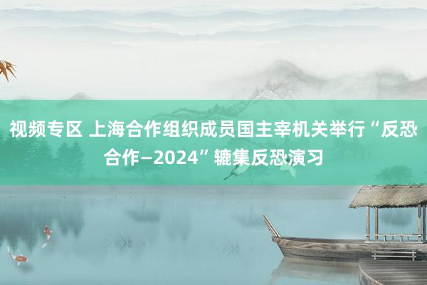 视频专区 上海合作组织成员国主宰机关举行“反恐合作—2024”辘集反恐演习