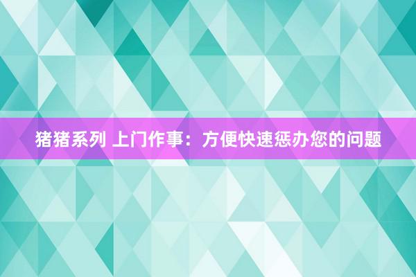 猪猪系列 上门作事：方便快速惩办您的问题