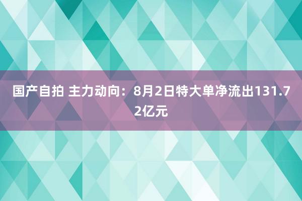 国产自拍 主力动向：8月2日特大单净流出131.72亿元