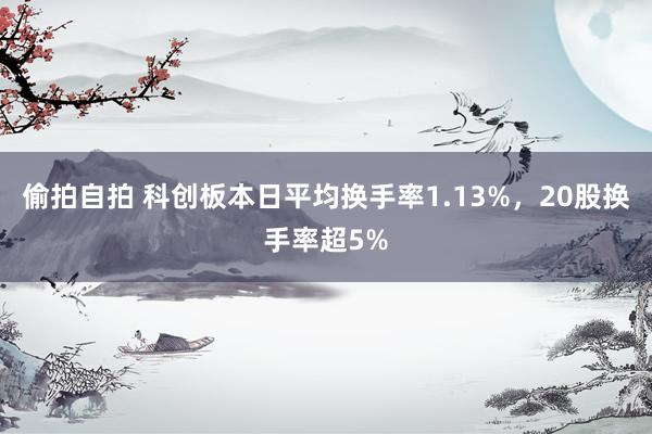 偷拍自拍 科创板本日平均换手率1.13%，20股换手率超5%