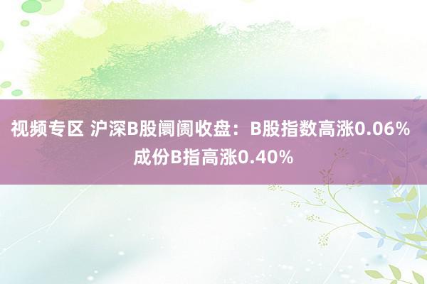 视频专区 沪深B股阛阓收盘：B股指数高涨0.06% 成份B指高涨0.40%