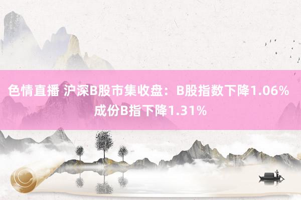 色情直播 沪深B股市集收盘：B股指数下降1.06% 成份B指下降1.31%