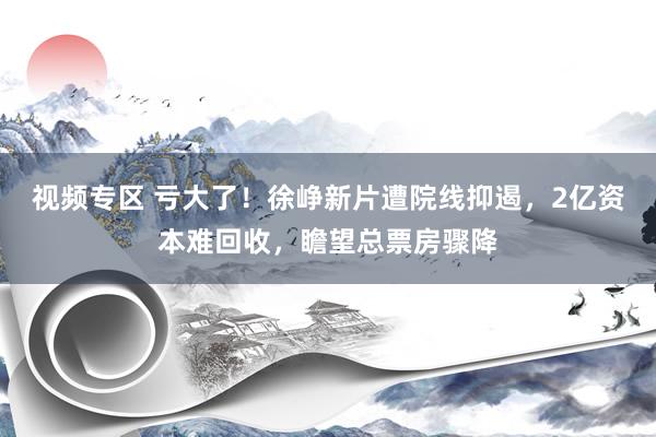 视频专区 亏大了！徐峥新片遭院线抑遏，2亿资本难回收，瞻望总票房骤降