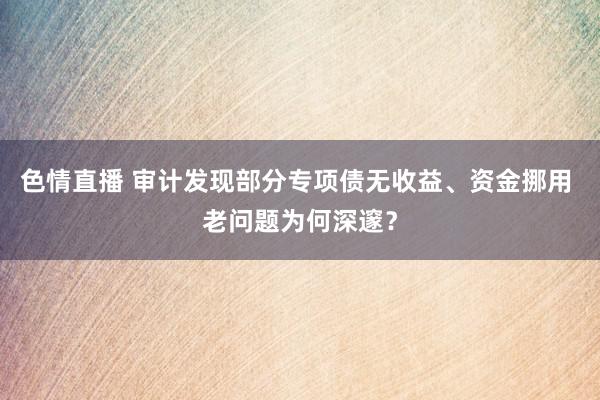 色情直播 审计发现部分专项债无收益、资金挪用 老问题为何深邃？