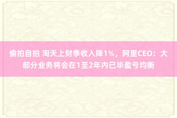 偷拍自拍 淘天上财季收入降1%，阿里CEO：大部分业务将会在1至2年内已毕盈亏均衡