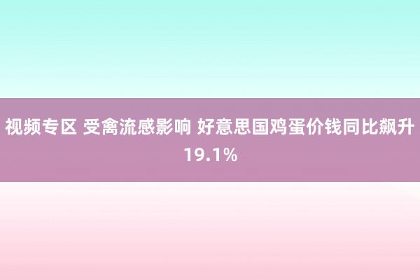 视频专区 受禽流感影响 好意思国鸡蛋价钱同比飙升19.1%