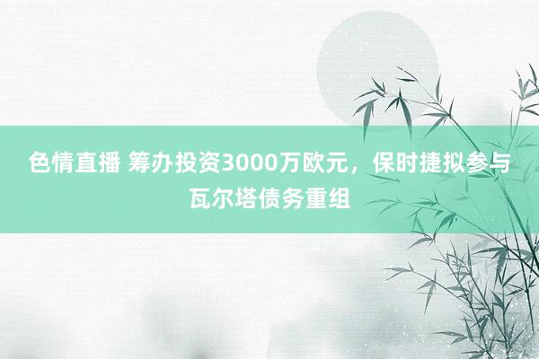 色情直播 筹办投资3000万欧元，保时捷拟参与瓦尔塔债务重组