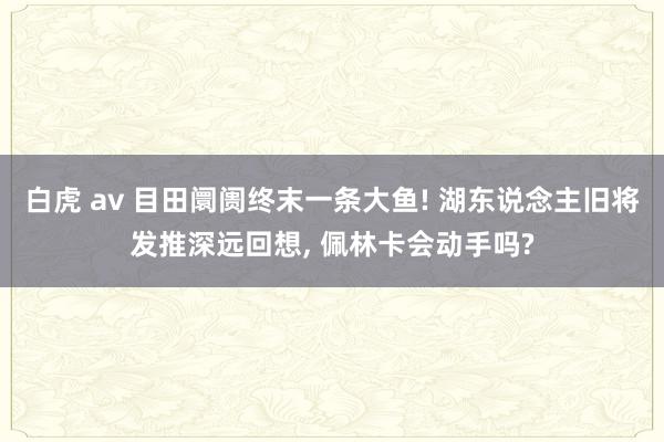 白虎 av 目田阛阓终末一条大鱼! 湖东说念主旧将发推深远回想, 佩林卡会动手吗?