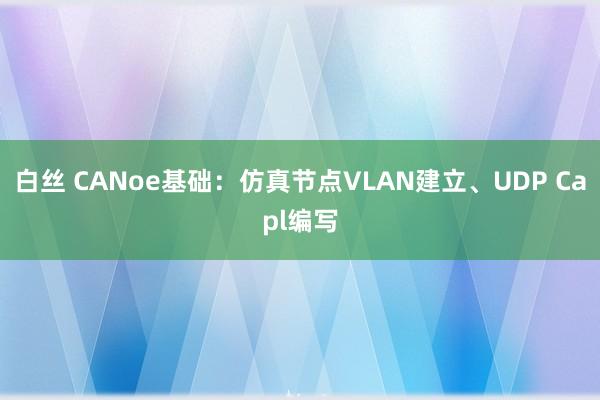 白丝 CANoe基础：仿真节点VLAN建立、UDP Capl编写