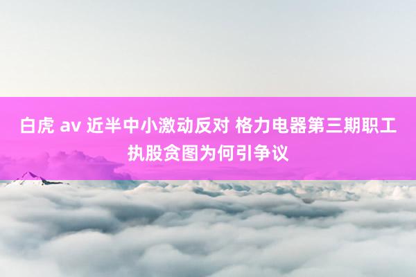 白虎 av 近半中小激动反对 格力电器第三期职工执股贪图为何引争议