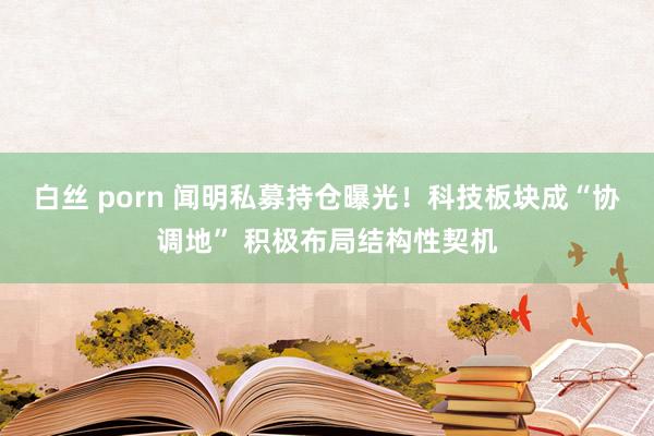 白丝 porn 闻明私募持仓曝光！科技板块成“协调地” 积极布局结构性契机