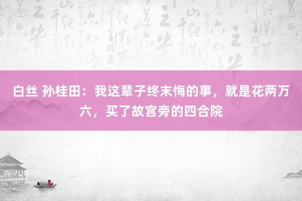 白丝 孙桂田：我这辈子终末悔的事，就是花两万六，买了故宫旁的四合院